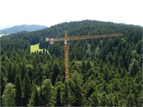 Kranfahrer Deutschland - gelber Oberdreher Kran mitten im Wald